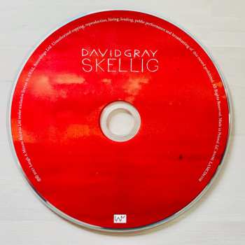 CD David Gray: Skellig 175261