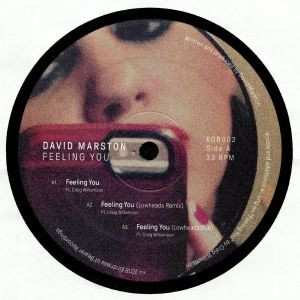 Album David Marston: Feeling You