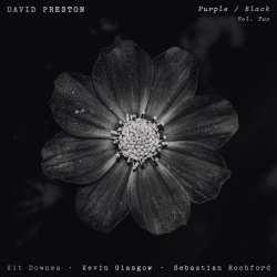 LP David Preston: Purple / Black Vol. 2 619434