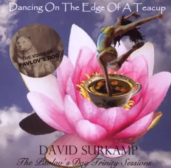 David Surkamp: Dancing On The Edge Of A Teacup: The Pavlov's Dog Trinity Sessions