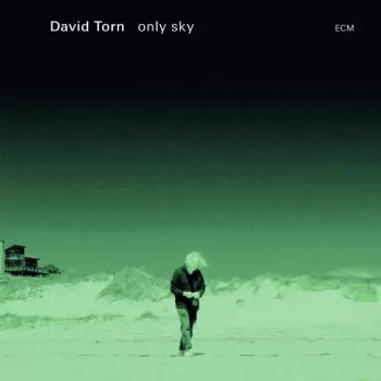 David Torn: Only Sky