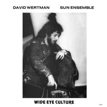 3LP David Wertman: Wide Eye Culture DLX 599346