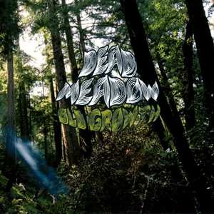 Album Dead Meadow: Old Growth