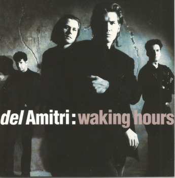 CD Del Amitri: Waking Hours 558198