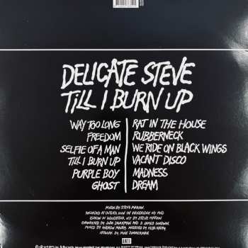 LP Delicate Steve: Till I Burn Up 463156