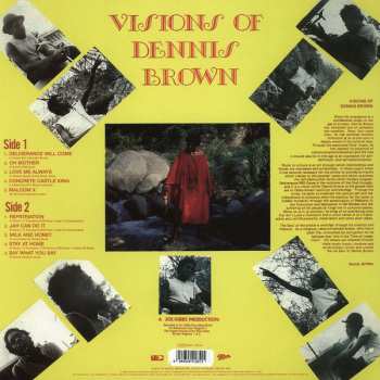 LP Dennis Brown: Visions Of Dennis Brown 87202