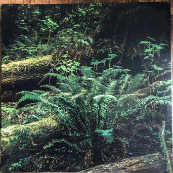 LP Dickon Hinchliffe: Leave No Trace LTD | CLR 348744