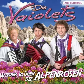 Wieder Blühen Die Alpenrosen