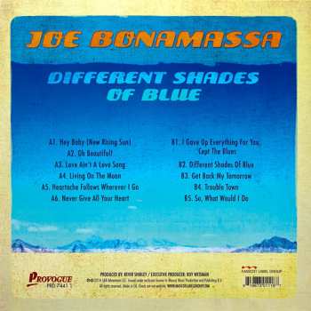 LP Joe Bonamassa: Different Shades Of Blue 9721