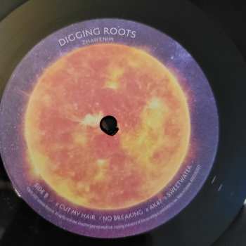 LP DiggingRoots: Zhawenim 579018