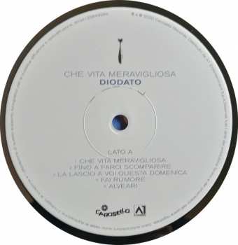 LP Diodato: Che Vita Meravigliosa 290353