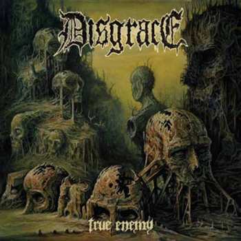 CD Disgrace: True Enemy 227463