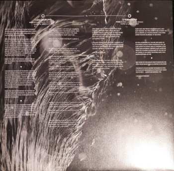 2LP Disillusion: Ayam CLR | LTD 653783