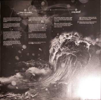 2LP Disillusion: Ayam CLR | LTD 653783