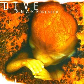 Album Dive: Snakedressed