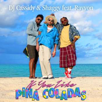 SP Shaggy: IF YOU LIKE PINA COLADAS 592113