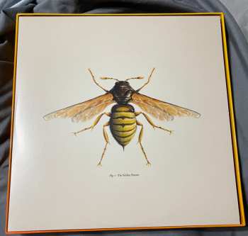 10LP/Box Set Doctor Who: Hornets' Nest CLR | LTD 573259