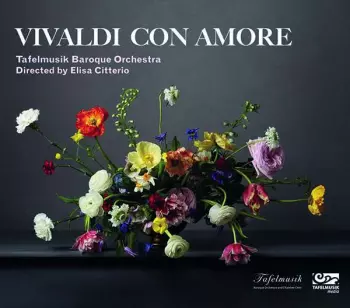 Dominic Teresi: Vivaldi con amore