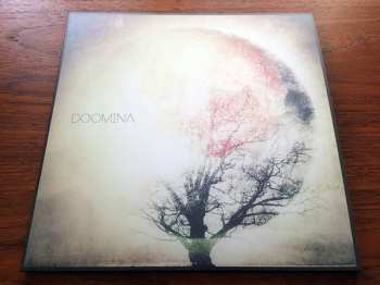 LP Doomina: Doomina LTD | CLR 88782