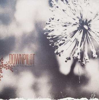 CD Downpilot: Like You Believe It 496381