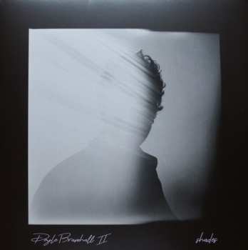 2LP Doyle Bramhall II: Shades 614856