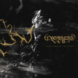 CD Dreamless Veil: Every Limb Of The Flood 588790