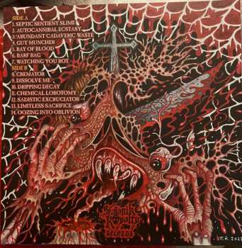 LP Dripping Decay: Festering Grotesqueries CLR | LTD 494151