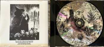 CD Druadan Forest: Dismal Spells Part II - The Night Circus 637802