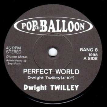 SP Dwight Twilley: Perfect World 648278