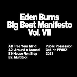 LP Eden Burns: Big Beat Manifesto Vol. VIII 656483