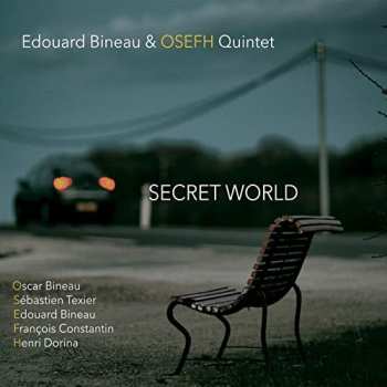 Album Edouard Bineau: Secret World