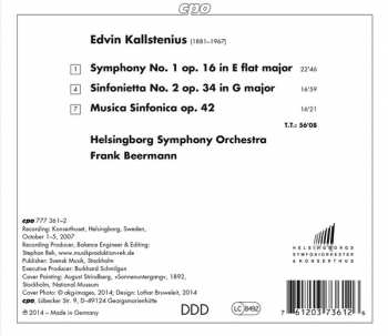 CD Frank Beermann: Symphony No. 1 • Sinfonietta No. 2 • Musica Sinfonica 289214