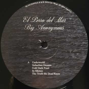 LP El Perro Del Mar: Big Anonymous 563062