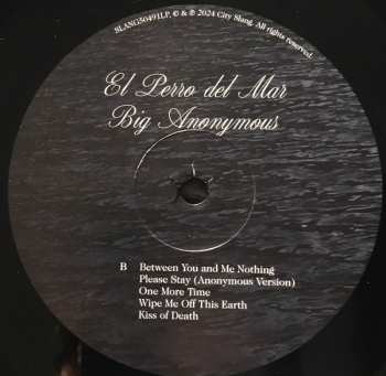 LP El Perro Del Mar: Big Anonymous 563062