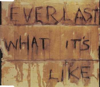 Album Everlast: What It's Like