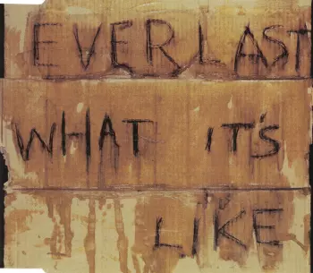 Everlast: What It's Like