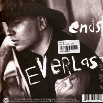 SP Everlast: What It's Like / Ends 570208