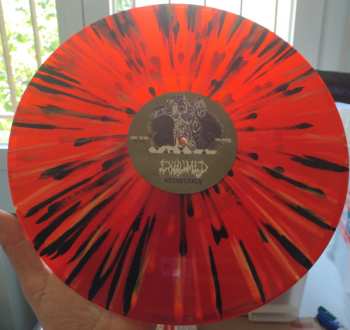 LP Exhumed: Necrocracy CLR | LTD 545216