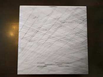 2LP Explosions In The Sky: The Wilderness DLX | LTD 594341