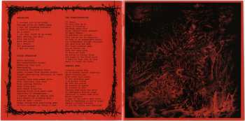 CD Faceless Burial: Grotesque Miscreation 546952