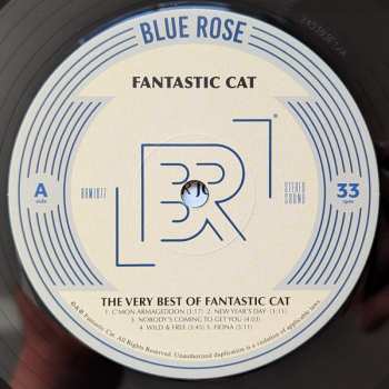 LP Fantastic Cat: The Very Best Of Fantastic Cat 575791