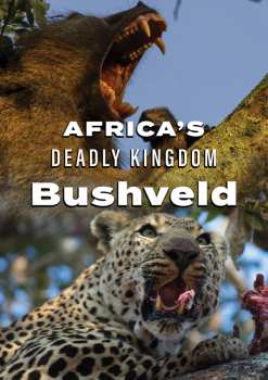 Album Feature Film: Africa's Deadly Kingdom: Bushveld