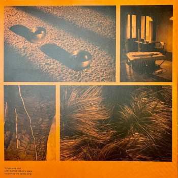 2LP Felbm: Elements of Nature 557169