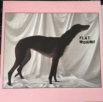 Album Flat Worms: Flat Worms