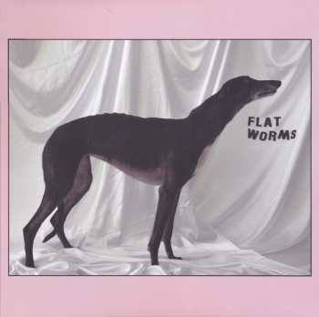 LP Flat Worms: Flat Worms 599309