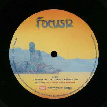 LP Focus: Focus12 597186