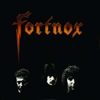 CD Fortnox: Fortnox 642577