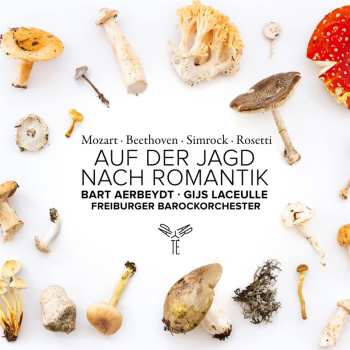 CD Freiburger Barockorche...: Auf Der Jagd Nach Romantik 619932