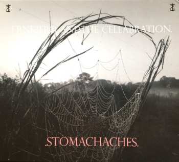 Album Frnkiero Andthe Cellabration.: .Stomachaches.