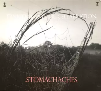 Frnkiero Andthe Cellabration.: .Stomachaches.